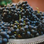 190@mel Cuochi2016 AU9A8596 Copia