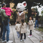 430mel IMG 8024