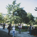 949mel EL 1262