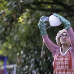 011759 0403 BONFIGLIOLI