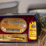 DSF8399 Bonfiglioli
