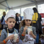 DSF9138 Bonfiglioli